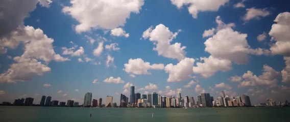 Ultra Music Festival 20th Anniversary - Phase 1 Announcement