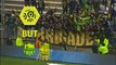 But Emiliano SALA (90ème +2) / Amiens SC - FC Nantes - (0-1) - (ASC-FCN) / 2017-18