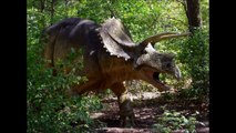 10 Fascinating Extinct Animals - Creature Countdown - FreeSchool-sAYv5CEf-OE