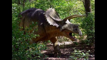 10 Fascinating Extinct Animals - Creature Countdown - FreeSchool-sAYv5CEf-OE