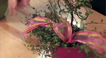 How to accent Plants and Topiary Trees with Ribbon!-uwn5ixRT4Dw