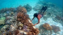 Menikmati Pesona Wisata Kepulauan Seribu