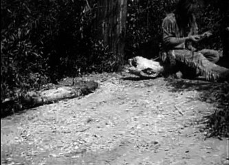 Daniel Boone 1-5  The Choosing