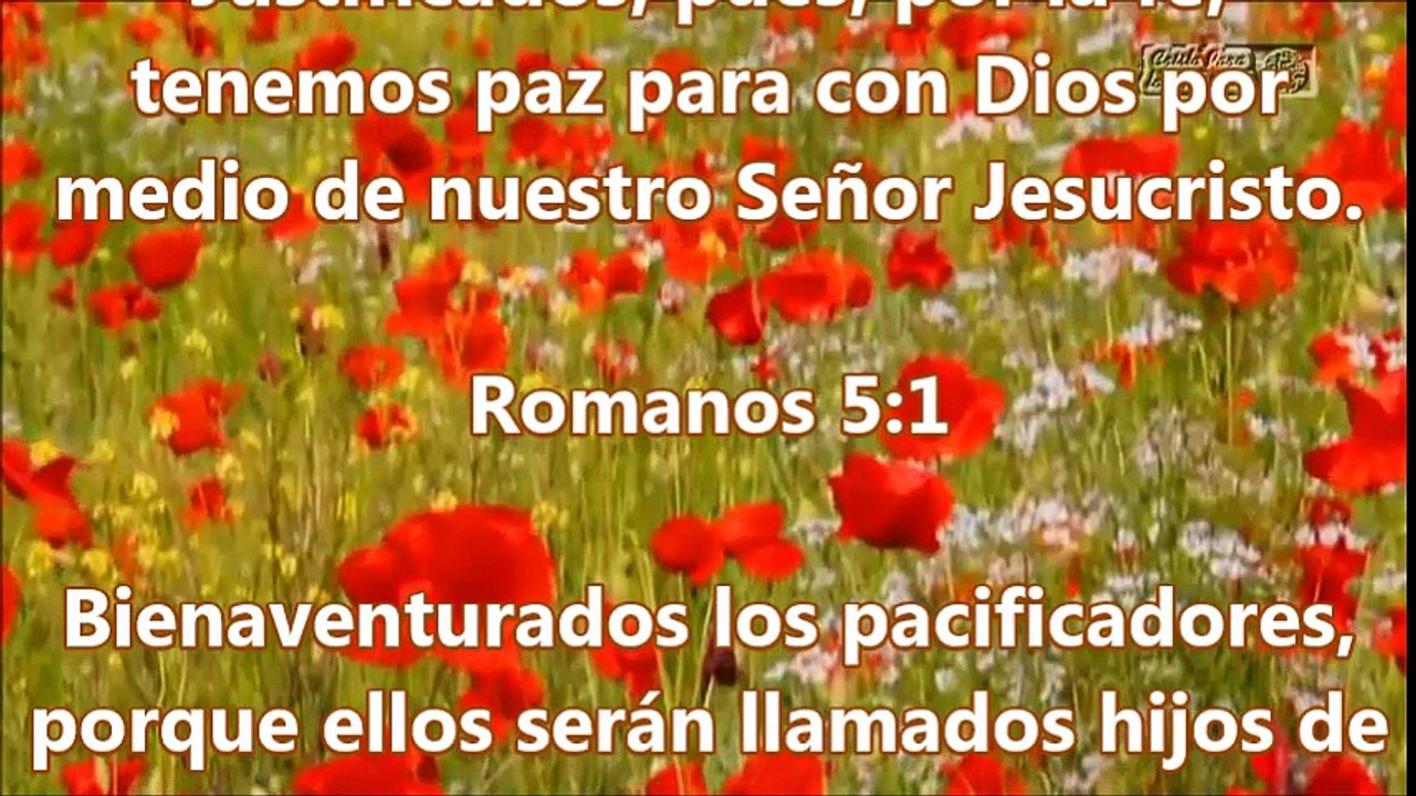 ARTIFICES DE PAZ.