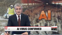 AI virus detected in Yeongnam confirmed to be H5N6