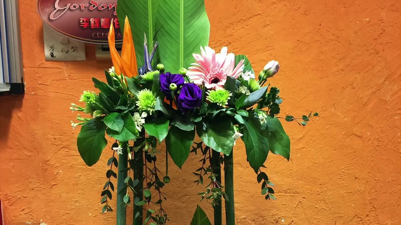How to open up a bird of paradise 天堂鳥點打開 FT02-2p-VZDDuifs - video