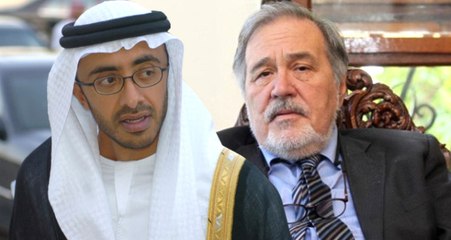 İlber Ortaylı, Fahreddin Paşa'yı Hırsızlıkla Suçlayan BAE'li Bakana Sert Çıktı: Cahil Adamlar