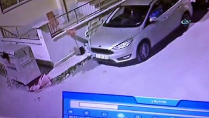 Çöp konteynerine sıkışan yavru kediyi böyle kurtardı