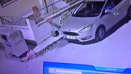 Çöp Konteynerine Sıkışan Yavru Kediyi Böyle Kurtardı