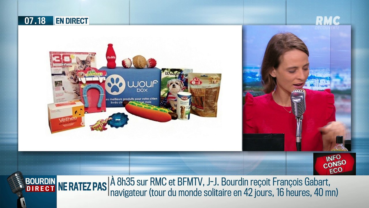 Dupin Quotidien : Offrir un cadeau pour son animal de compagnie - 21/12