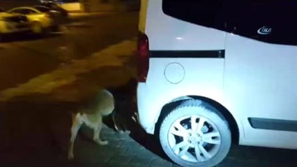 Van'da 48 Kilo Eroin Ele Geçirildi