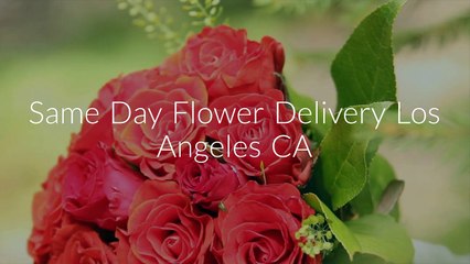 Same Day Best Flower Delivery in Los Angeles CA | 213-908-1591