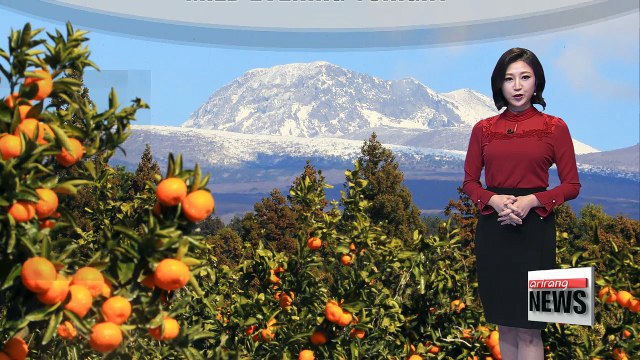 Clear skies with milder readings than today _ 122117