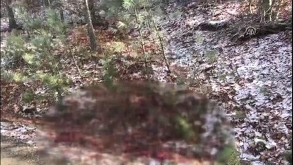 Kastamonu'daki Kayıp Aile (1)