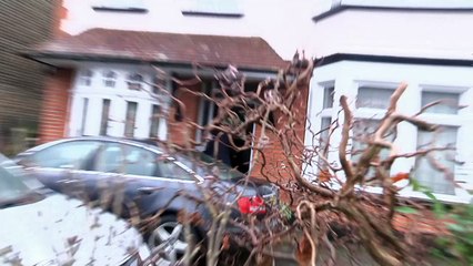 Green sacked after 'misleading' statements