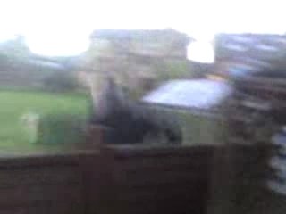 Dr Conrad Ep5 Exploding Stone Of Doom