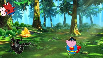 Desenho Animado Smilinguido - Desenho Animado Wally Gator