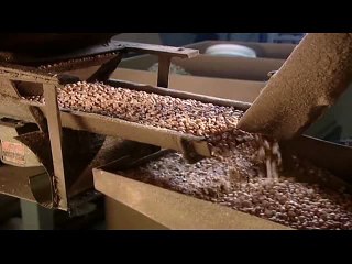 Food Manufacturing Equipment