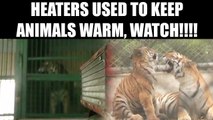 Kanpur Zoo use heaters to keep animals warm in cold weather, Watch | Oneindia News