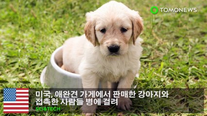 미국, 애완견 가게에서 판매한 강아지와 접촉한 사람들 병에 걸려