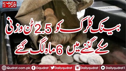 Bank clerk took 6 months to count 2.5 tonnes of coins