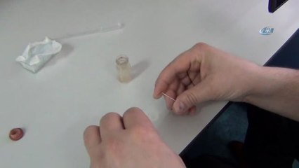 Mikro Canlılar Yapay Modelleri ile Görücüye Çıktı