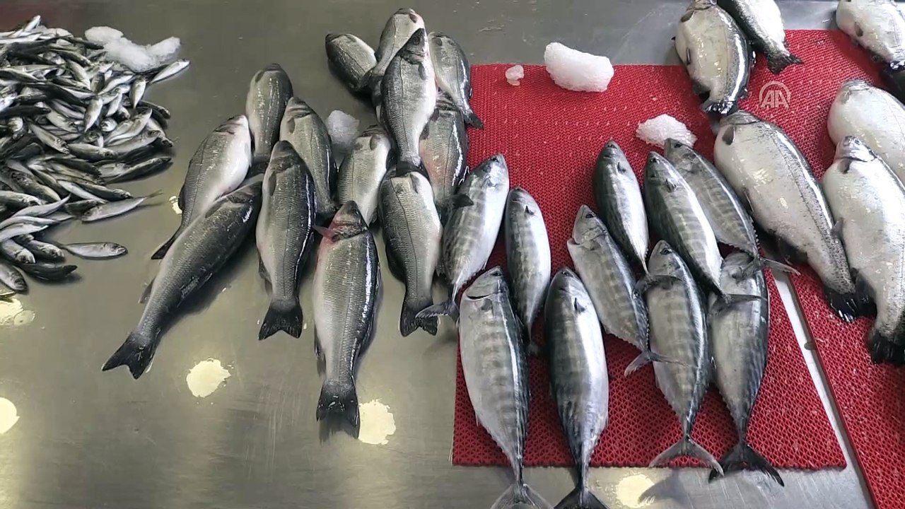 Sürdürülebilir balıkçılık için 'avlanma kotası'...