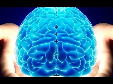 REPORTAGE : Quel âge a votre cerveau ? - Dr Kawashima !