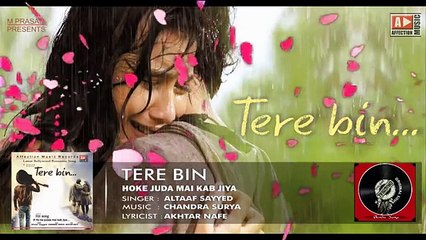 Very Sad Song | Tery Bin Hindi New Remake Song
