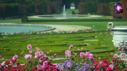 Herkesin Gördüğü Ama Fark Etmediği Mucize