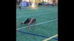 [ Heba Ali ] Stronger Female Athlete Push the Limits CrossFit Workout