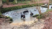 La troupe en balade au lavoir!
