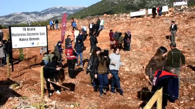 Muğla'ya Uluslararası Göçmenler Günü Hatıra Ormanı