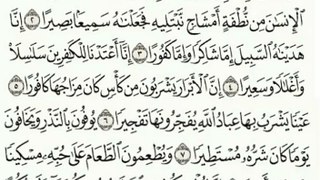 Surah Al-Insaan 1-11 (Urdu Audio Translation)