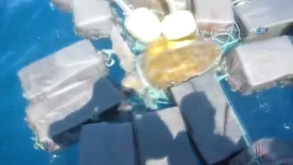 Okyanusta Deniz Kaplumbağasıyla Kokain Ticareti