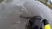 Rescuers Save Dog Trapped in Frozen River
