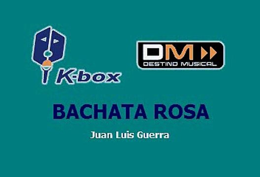BACHATA ROSA - JUAN LUIS GUERRA (KARAOKE)