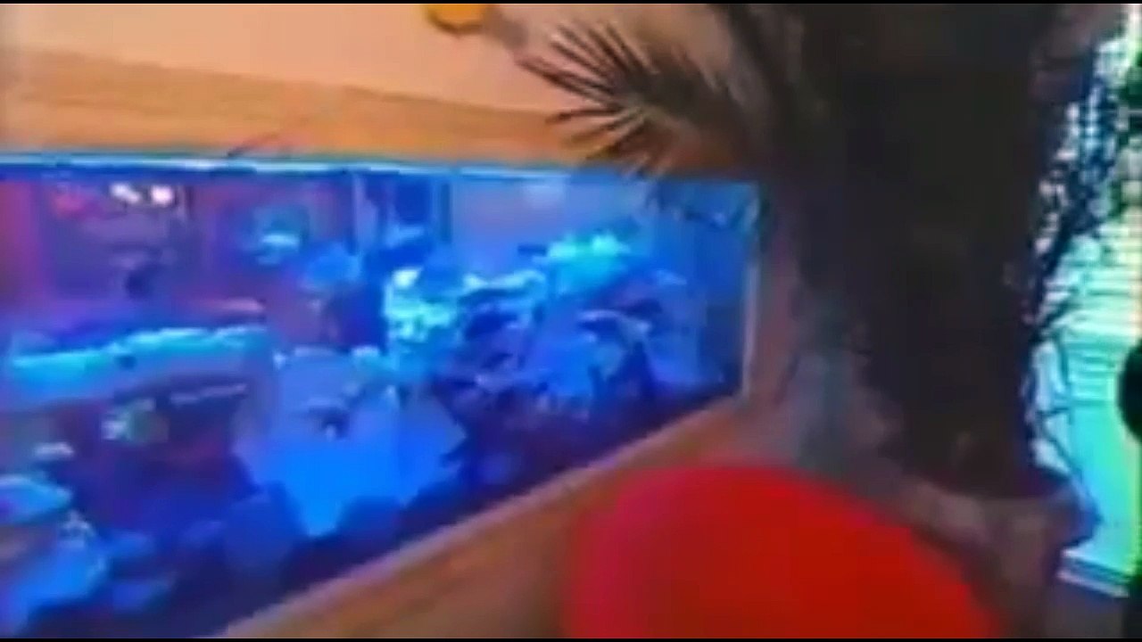 Mtv Cribes  JACKIE CHAN ,  Lil Romeo , Fat Joe , Ludacris ,  SNOOP DOGG