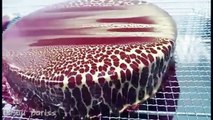 The Most Satisfying Video oddly Satisfying Video in the World Cake Awesome artistic skills-5GjbeLFrEUA