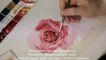Как рисовать розу акварелью - уроки рисования для начинающих - скоростное рисование-KJaRMu4Jsno