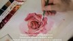 Как рисовать розу акварелью - уроки рисования для начинающих - скоростное рисование-KJaRMu4Jsno