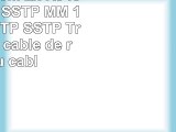 1aTTack 100m 2x RJ45 Cat6 SFTP SSTP MM 10m Cat6 SFTP SSTP Transparent câble de
