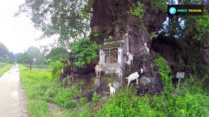 Tam Coc bike tour (Ninh Binh, Vietnam)