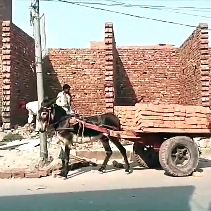 advanced dumper without cylinder
