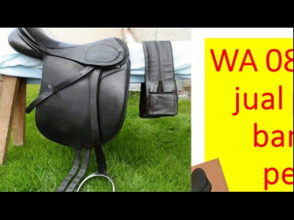 HUB 62 81253952270 / 62 85346025358,  how to play horseshoes, hanging horseshoes, horseshoes gta san andreas