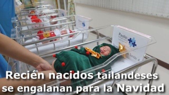 Bebés recién nacidos también se unen a los festejos de Navidad