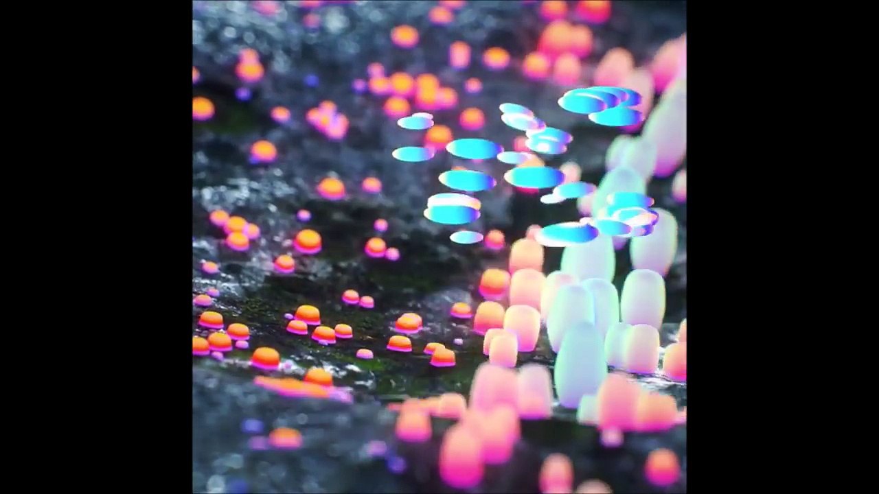 SATISFYING VIDEO #1