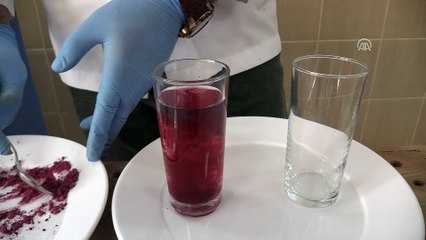 Kebabın dostu şalgam toz halinde üretildi - ADANA