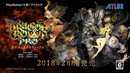 Dragon's Crown Pro - Pub Japon