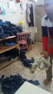 The guy scared of the cat۔۔۔ bay chara billi sy atna dar gya k apna sar hi phor betha